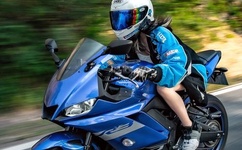 99精品成人无码A片观看